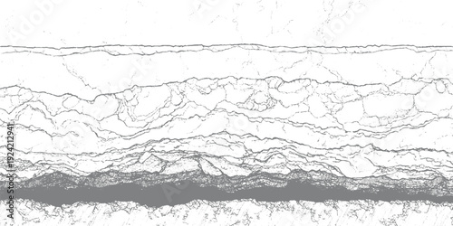 Abstract grayscale cracked texture with layered organic lines and granular detail background pattern