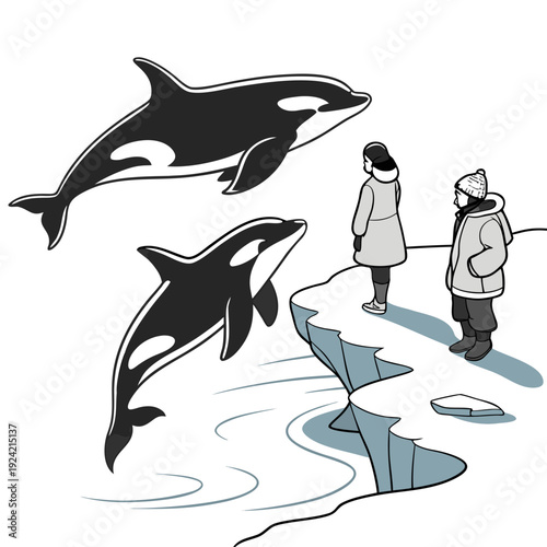 Two people watching orcas jump out of icy water cliff