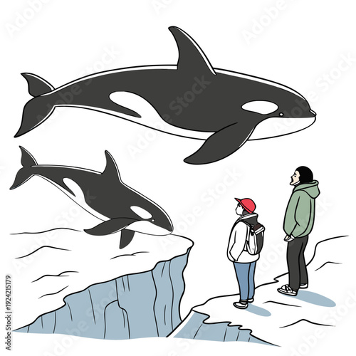 Of two people watching orcas surfacing whale cliff