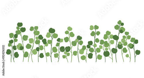 A long row of diverse green leafy stems and botanical branches of varying heights are arranged horizontally across a plain white background.