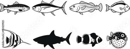 Fish silhouette and line art collection with tuna shark trout and tropical species for seafood branding fishing logos and aquatic nature designs, cad drawing flat vector illustration