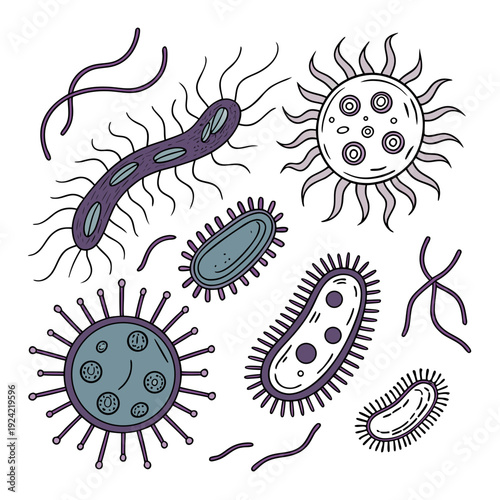 Of various lifelike microorganisms on white background