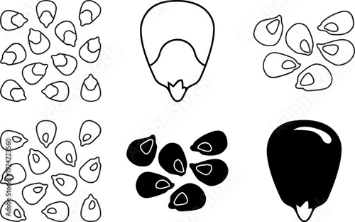 Corn Kernels Close-up Illustration Vector