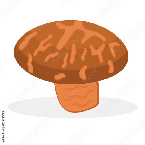 shiitake mushroom healthy food vector.