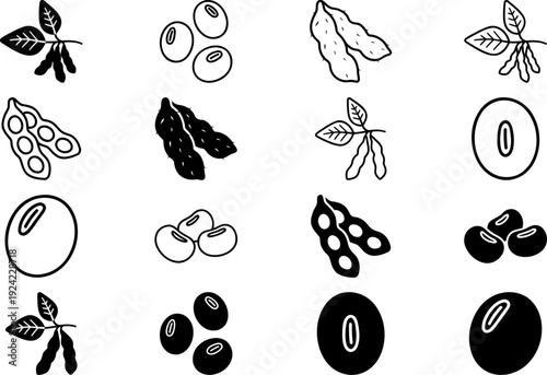 Soybeans Vector Illustration