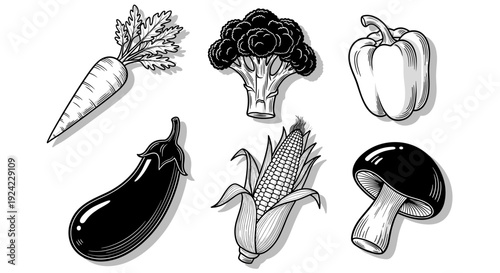 Collection of fresh vegetables, carrot, broccoli, pepper, eggplant, corn, mushroom, black and white