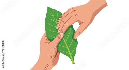 Two human hands with tan skin reach out to hold and touch a large green leaf with prominent veins over a white background.