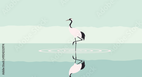 Elegant Japanese red-crowned crane stands peacefully on one leg in calm water with its perfect reflection visible below.
