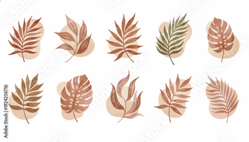 Collection of variously colored and shaped leaves in a minimalist design.