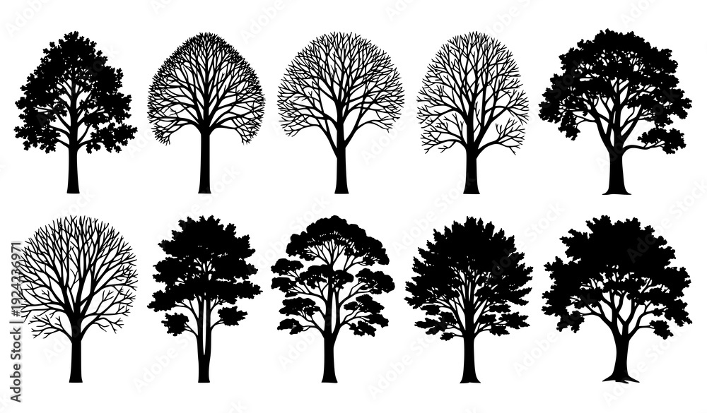 Obraz premium Diverse Realistic Tree Silhouettes Black Nature Forest Vector Bundle