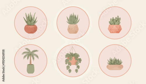Collection of various potted plants in circular frames.