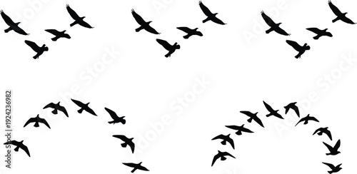Set of flying birds silhouettes in different formations, black flat vector illustration for freedom, nature, migration, sky, design elements