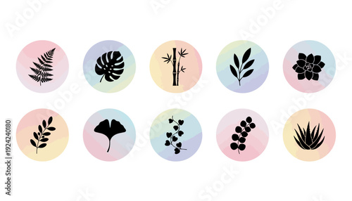 Collection of Minimalist Botanical Icons with Pastel Backgrounds.