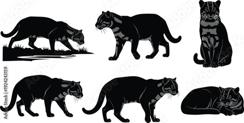 Set de siluetas de Gato Pescador 6 poses vector negro