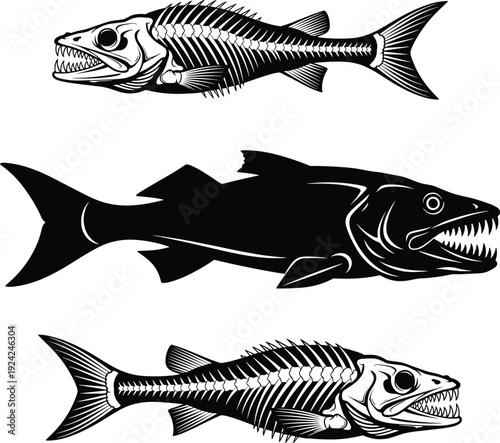 Predatory fish skeleton and silhouette illustration set isolated on white background, detailed marine anatomy drawing and aggressive aquatic creature design collection