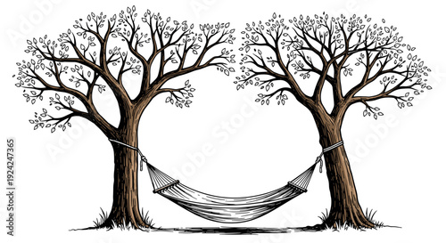 Relaxing hammock tied between two leafy trees summer garden leisure activity outdoor rest hand drawn sketch