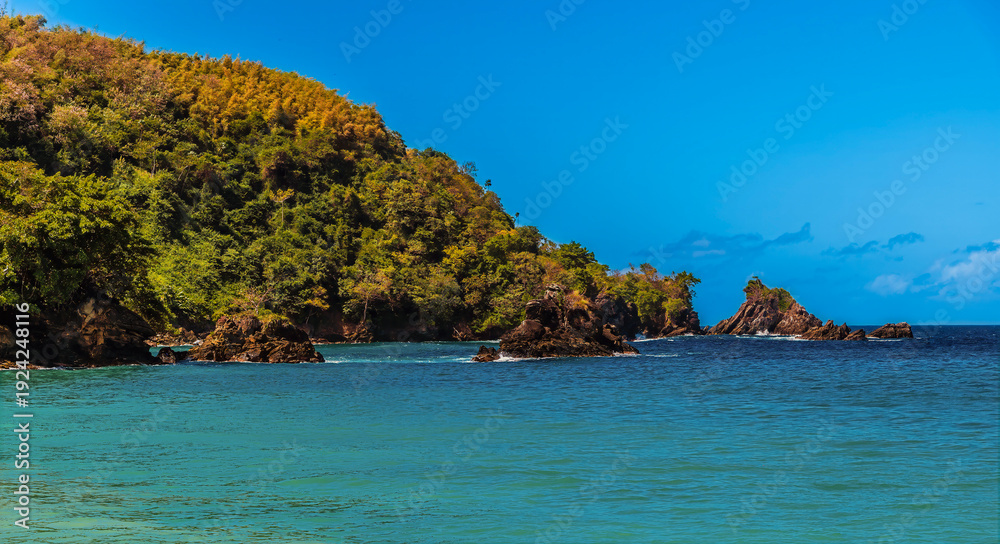 Naklejka premium A view west towards the headland at Englishmans Bay in Tobago on a bright day in January