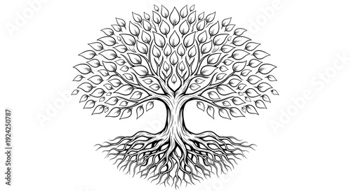 Stylized tree of life with intricate roots and abundant leaves in black and white illustration vector