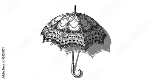 Vintage ornate lace parasol umbrella with decorative fringe and elegant patterns for antique fashion design