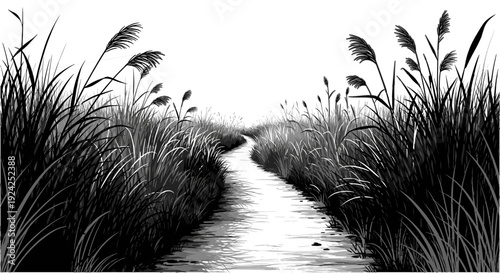 Winding path through tall reeds and grasses in a dusky marsh landscape