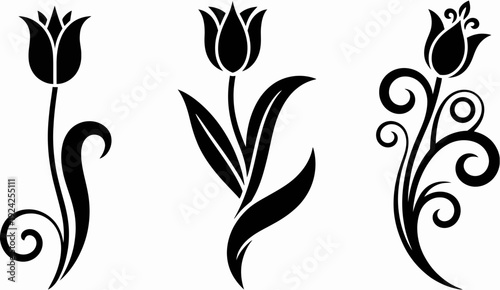 Elegant black and white floral designs featuring stylized tulips and vines. isolated on white background, Vector, illustration