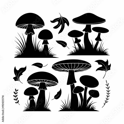 Elegant black and white illustration of various mushrooms in nature isolated on white background, Vector, illustration