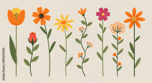 A collection of colorful flowers including tulips, daisies, and roses in flat modern vector style, suitable for floral designs and decorations