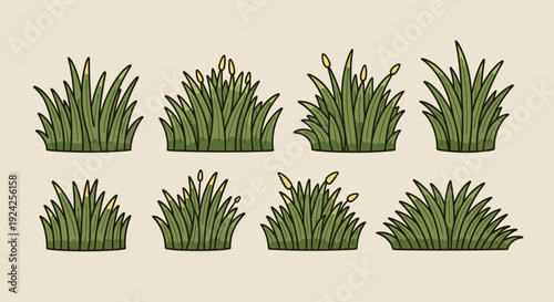 A collection of various grass blades in a flat minimalist vector style, perfect for nature-themed designs and backgrounds