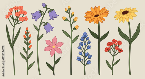 A collection of colorful wildflowers in flat vector style, perfect for botanical illustrations and floral designs