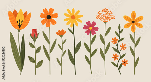 A collection of vibrant flowers including tulips, daisies, and wildflowers in modern flat vector style, perfect for gardening themes and floral designs