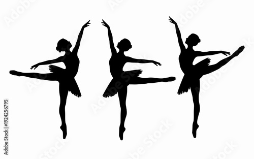 Graceful ballet dancers in dynamic poses captured in black silhouette art isolated on white background, Vector, illustration
