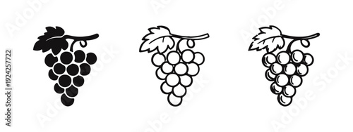 Grapes on Vine Icons Set. Wine Fruit and Vineyard Symbols Collection in Solid, Outline, and Hand-Drawn Styles.