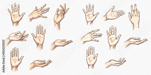 A diverse collection of hand-drawn illustrations showing various human hand gestures and poses on a transparent background.