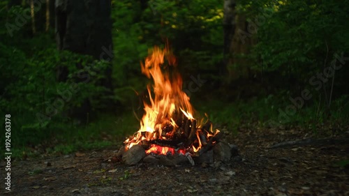 Campfire at Twilight Surrounded by Wilderness and Nature.
A blazing campfire nestled amidst tranquil evening forest scenery