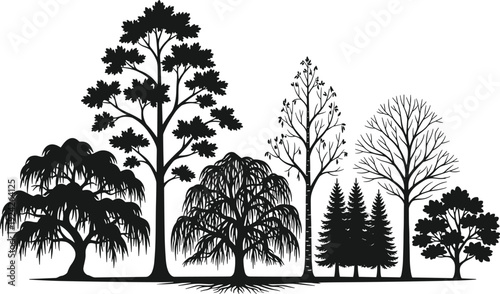 Mixed Woodland Forest Silhouette: Detailed Illustration of Various Tree Types Including Weeping Willow, Pine, and Oak with Visible Root System for Nature and Ecology Concept
