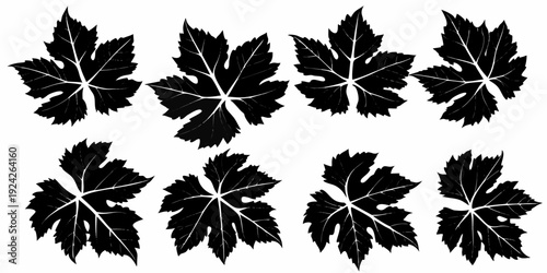 Arrangement of black grape leaves on a white background
