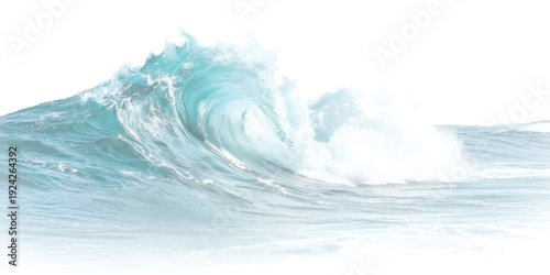 A large, powerful ocean wave crests and curls with vibrant blue water and white foam against a stark white background