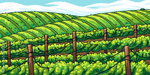 A lush green vineyard extends across rolling hills under a bright sky