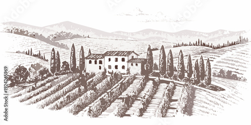 Sketch of a tuscan villa nestled amongst rolling hills and vineyards