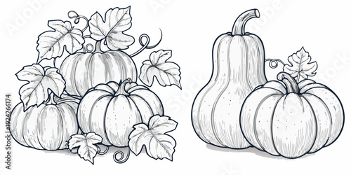 Vintage style illustration of pumpkins and foliage in monochrome
