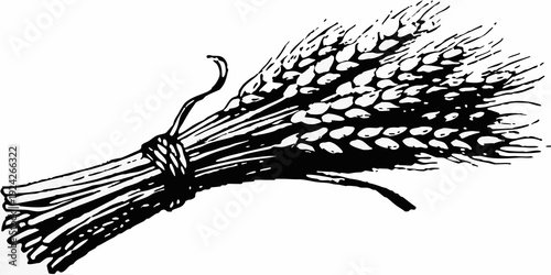 A detailed black and white illustration of a bundle of wheat stalks