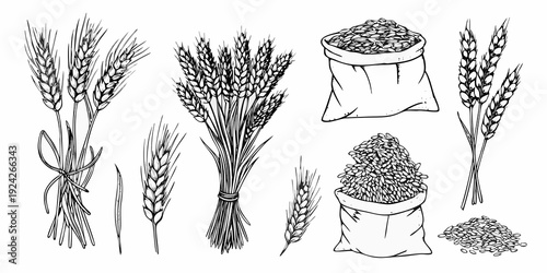 Vintage illustration of wheat sheaves grains and sacks in monochrome