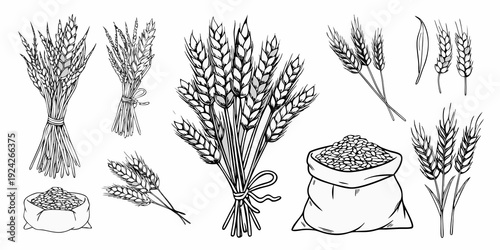 A collection of sketched wheat sheaves grains and a small sack