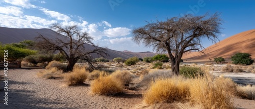 Panel kuchenny z motywem Explore the ghost tree scene in Sossusvlei National Park, Namibia with rippled sand, dunes, and a clear blue sky