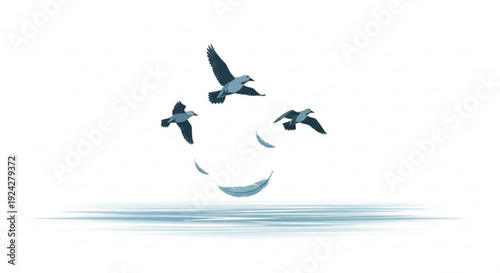Three birds flying over calm water with ripples on a serene white background