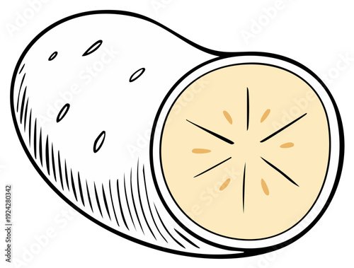 Hand-drawn illustration of a whole potato with a cross-section revealing its flesh and texture