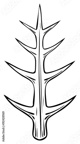 Sharp botanical thorn with pointed spikes extending from a central stem, stylized illustration