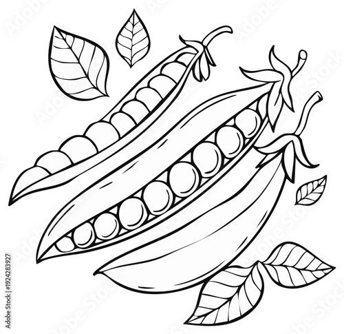 Black and white illustration of fresh pea pods and leaves