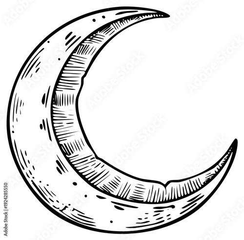 Crescent Moon Illustration in Vintage Engraving Style with Black Outlines, Lunar Phase