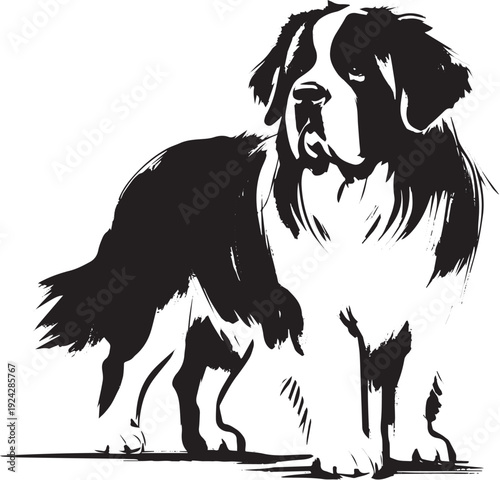 Elegant Saint Bernard depiction in minimalist black and white su